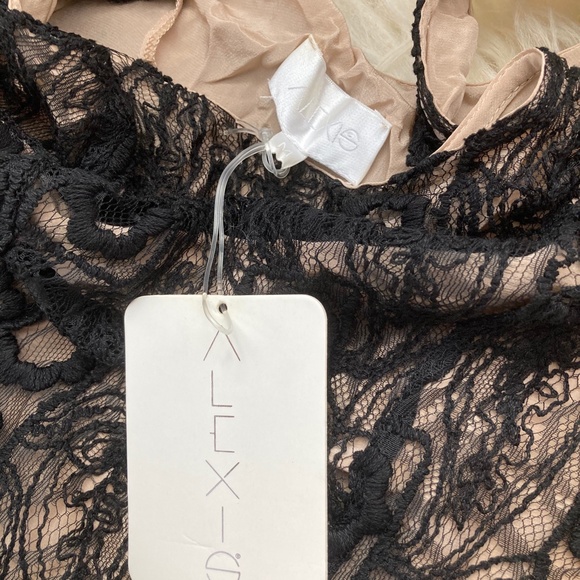 ALEXIS Lace Pattern Mini Dress - Picture 6 of 10